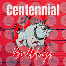 Load image into Gallery viewer, Rental: High School Back Drop 8X8