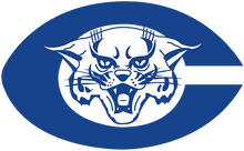 Load image into Gallery viewer, School Spirit Custom Apparel- Adult