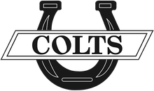 Load image into Gallery viewer, School Spirit Custom Apparel- Adult