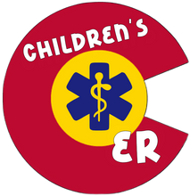 Load image into Gallery viewer, 50/50 Cotton/Poly Blend Gildan Zip-Up Hoodie Unisex Size