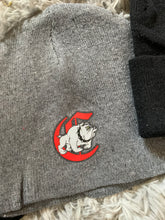 Load image into Gallery viewer, School/Mascot Beanie
