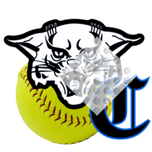 Load image into Gallery viewer, High School Softball
