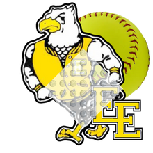 Load image into Gallery viewer, High School Softball
