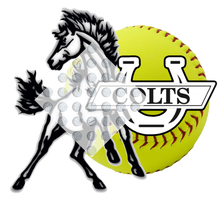 Load image into Gallery viewer, High School Softball
