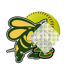 Load image into Gallery viewer, High School Softball
