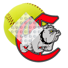 Load image into Gallery viewer, High School Softball
