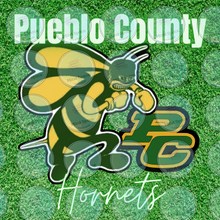 Load image into Gallery viewer, Rental: High School Back Drop 8X8
