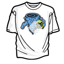 Load image into Gallery viewer, High School Softball
