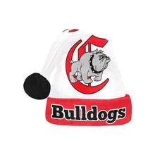 Load image into Gallery viewer, Bulldog Santa Hat Santa Hat
